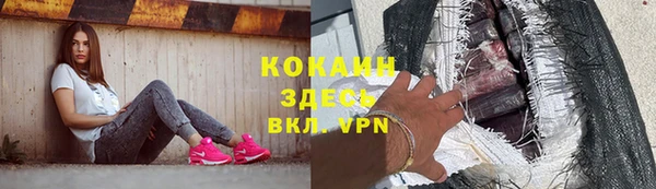 гашик Горно-Алтайск