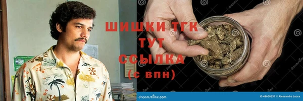 гашик Горно-Алтайск