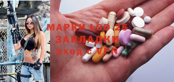твердый Вяземский