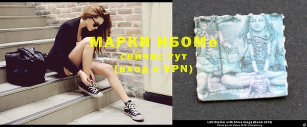 сатива Вязники